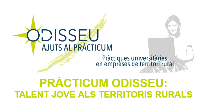 logo-Practicum-1