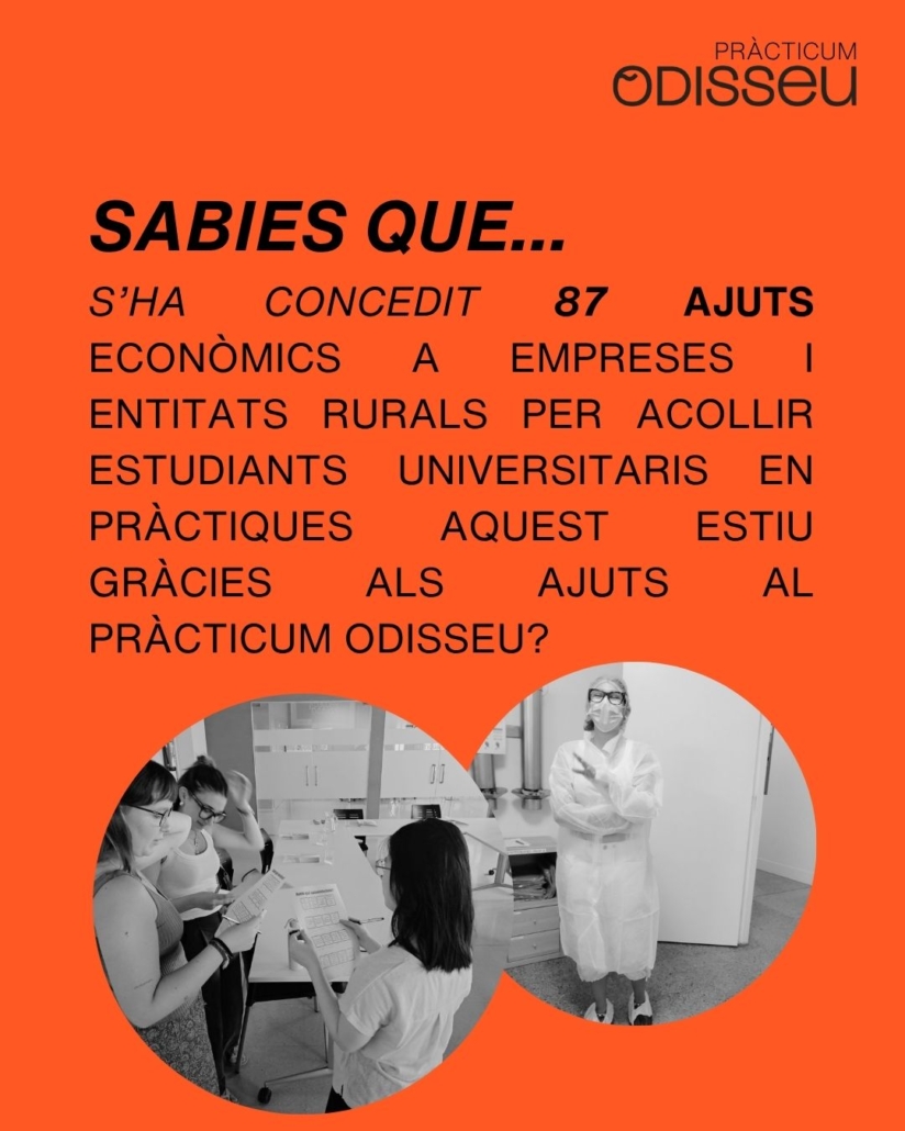 Posts Odisseu